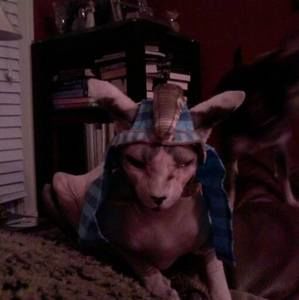 Meet your Posher, Michael